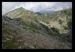 Paring -august-2014 - Bogdan Balaban