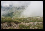 Paring -august-2014 - Bogdan Balaban