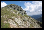 Paring -august-2014 - Bogdan Balaban