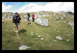 Paring -august-2014 - Bogdan Balaban
