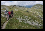 Paring -august-2014 - Bogdan Balaban