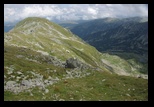 Paring -august-2014 - Bogdan Balaban