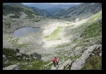 Paring -august-2014 - Bogdan Balaban