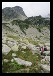 Paring -august-2014 - Bogdan Balaban
