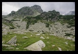 Paring -august-2014 - Bogdan Balaban