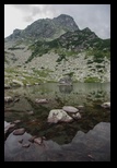 Paring -august-2014 - Bogdan Balaban