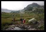Paring -august-2014 - Bogdan Balaban