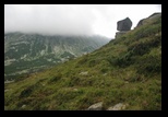Paring -august-2014 - Bogdan Balaban