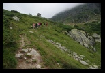 Paring -august-2014 - Bogdan Balaban