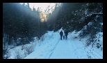 Piatra Craiului - Garofita -02-01-2017 - Bogdan Balaban
