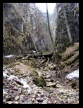 Piatra Craiului -25-04-2009 - Bogdan Balaban