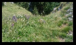Piatra Mare -09-08-2025 - Bogdan Balaban