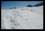Piatra Mare -17-03-2012 - Bogdan Balaban