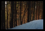 Piatra Mare -17-03-2012 - Bogdan Balaban