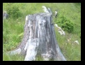 Piatra Mare -22-07-2006 - Bogdan Balaban