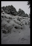 Piatra Mare -27-12-2014 - Bogdan Balaban
