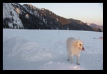 Piatra Mare -februarie-2015 - Bogdan Balaban