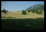 Piatra Mare -iulie-2010 - Bogdan Balaban