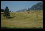 Piatra Mare -iulie-2010 - Bogdan Balaban