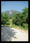Piatra Mare -iulie-2010 - Bogdan Balaban