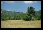 Piatra Mare -iulie-2010 - Bogdan Balaban