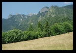 Piatra Mare -iulie-2010 - Bogdan Balaban