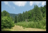Piatra Mare -iulie-2010 - Bogdan Balaban