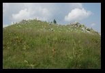 Piatra Mare -iulie-2010 - Bogdan Balaban