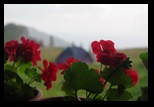 Piatra Mare -iulie-2010 - Bogdan Balaban