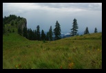 Piatra Mare -iulie-2010 - Bogdan Balaban
