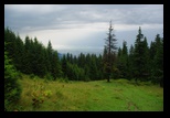 Piatra Mare -iulie-2010 - Bogdan Balaban