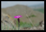 Piatra Rosie -26-05-2012 - Bogdan Balaban
