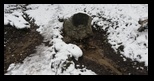 Postavaru - Racadau - Saua Tampei - Stechil - Fantanita Dreptatii -20-02-2021 - Bogdan Balaban