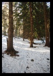 Postavaru - Vanga -02-01-2013 - Bogdan Balaban