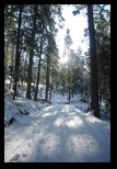 Postavaru -13-01-2013 - Bogdan Balaban