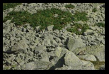Retezat-Judele-Slavei-Zanoaga -25-08-2011 - Bogdan Balaban