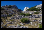 Retezatul Mic -Piatra Iorgovanului -26-10-2015 - Bogdan Balaban