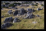 Retezatul Mic -Piatra Iorgovanului -26-10-2015 - Bogdan Balaban