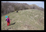 Sarica -09-03-2019 - Bogdan Balaban