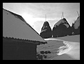 Simon -09-12-2007 - Bogdan Balaban