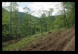 Siriu -23-07-2011 - Bogdan Balaban