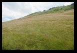 Siriu -23-07-2011 - Bogdan Balaban