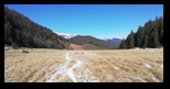 Sirnea -08-01-2023 - Bogdan Balaban