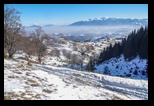 Sirnea -12-01-2020 - Bogdan Balaban