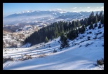Sirnea -12-01-2020 - Bogdan Balaban