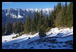 Sirnea -12-01-2020 - Bogdan Balaban
