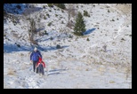 Sirnea -12-01-2020 - Bogdan Balaban