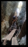 Tamina -14-07-2024 - Bogdan Balaban