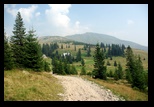 Tarcu -august-2010 - Bogdan Balaban