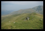 Tarcu -august-2010 - Bogdan Balaban